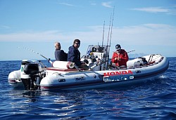 La Fishing Machine: gommone di 6 metri che raggiunge una velocità di 28 Kn, consente di raggiungere lo spot prescelto in un batter d'occhio, fornito di motore di prua, permette di sfruttare al 100% le abilità del pescatore. Può ospitare 3 pescatori + l'Angler
